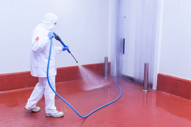 Professional Pressure Washing in Hazel Park, MI