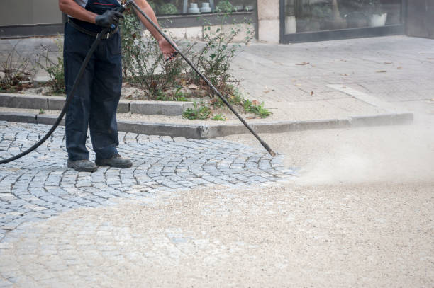 Best Boat and Dock Cleaning  in Hazel Park, MI